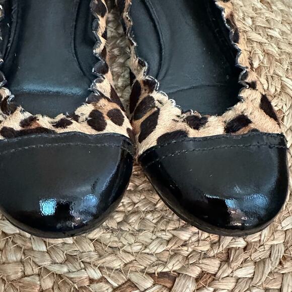 Tory Burch Abbey Leopard Print Calf Hair Patent Cap Toe Ballet Flats Size 7 M - Picture 2 of 15
